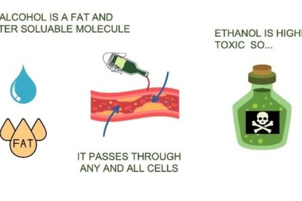 Alcohol, Body and Mind